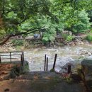 초록펜션 이미지