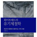 시네바움