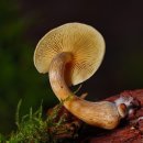 더채움 행정사사무소 이미지