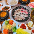 고향토종흑돼지 이미지