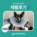 웰케어 동물건강검진센터·동물한방재활센터 이미지