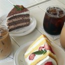 티나케이크(tinacake) | 제주카페 노형동카페 케이크 맛집 “티나케이크” 후기