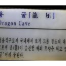삼척해상케이블카 이미지