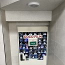 코코필름홍대사진관 홍대사진관 이색적인 물고기 사진 찍고 왔어요.