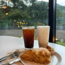 플루토 애견방 이미지