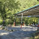 나무새 관광농원 | 캠린이의 두번째 캠핑 , 밀양 은하수 캠핑관광농원 데크 D4