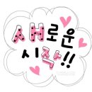 솔지카페 이미지