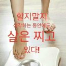 체온앤점핑다이어트