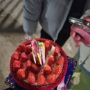 돈까스와 뼈다귀 이미지