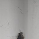 작전 현대1차아파트 이미지