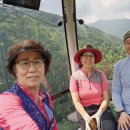 가온민박 이미지