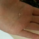 고돌이네 이미지