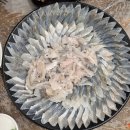 죽도회