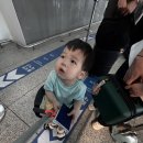 행복1반 정이환 괌 여행 중이예요 ! 이미지