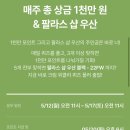 팔라스 이미지
