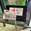 카페스누