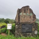 함덕, 수형 이미지