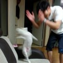 한강생고기집 네이버블로그