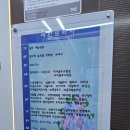 모리온두피탈모 이미지