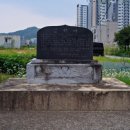 옹골