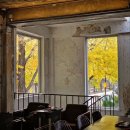 내가하는세차마을 이미지