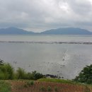 모항농장 이미지