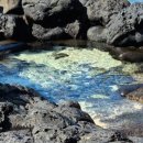 원담 민박 이미지