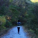 태청산 편백나무숲 트레킹길 이미지