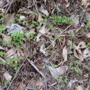 지인농장2 이미지