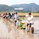 옥천살림협동조합 이미지