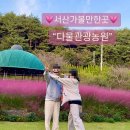 생동농장 | 서산나들이 핑크뮬리명소 캠핑장 다울관광농원 이용후기
