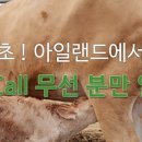 미르영농조합법인 이미지