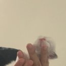 작고 소중해 이미지