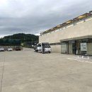 개들랜드 이미지