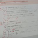 부천부곡초 | 계남초6학년학생의 서술형특강 학습후기 [부천중동 영어학원]