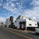 달시플러스 이미지