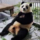 삼다숲 민박 | [🇰🇷] All I need is you on my side