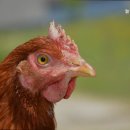 늘푸른요양원 - 수원시 장안구 | 늘푸른요양원