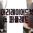 엘리야헤어 이미지