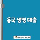 강화농업협동조합송해지점 | 흥국 생명 대출 10년차 전문가가 알려주는 2025년 최신 공략법