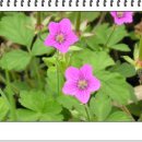 마음의풍경 이미지