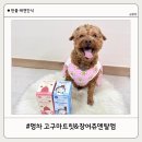 한울펫 | [한울] 멍차 고구마트릿&장어츄 덴탈껌, 기호성 좋은 강아지 간식