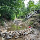 쇼글하우스 이미지