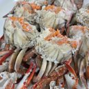 연평도 목포 산꽃게 이미지