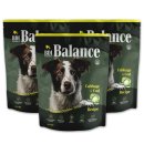 비디아이 이미지