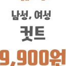 아비드헤어