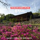 버스터미널 버스차고지 | 안동 봉정사 영산암 템플스테이 입장료 극락전 대웅전 주차장 안내