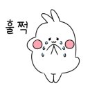 대가토박이김치 이미지