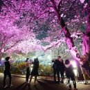 장안54 이미지