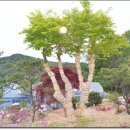 유림농원 - 충주시 앙암로 166 | 유림농원